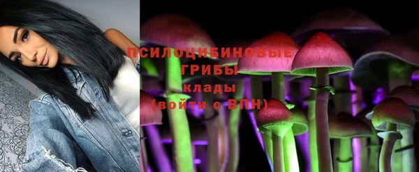 скорость Бронницы