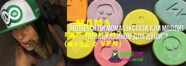 spice Богородск