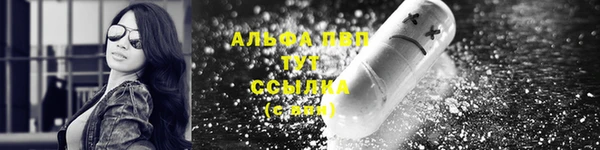 гидра Богородицк