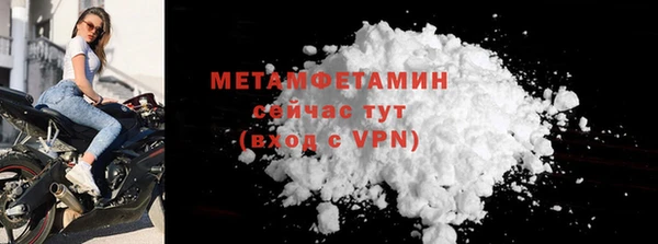 гидра Богородицк