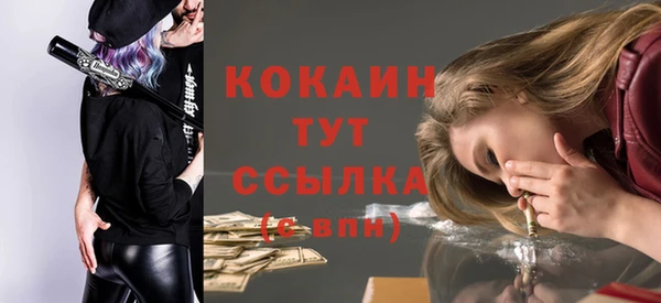 гидра Богородицк