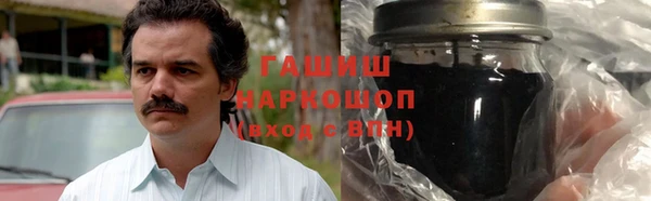 гидра Богородицк
