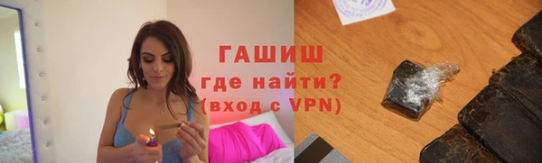 гидра Богородицк