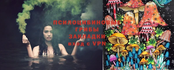 spice Богородск