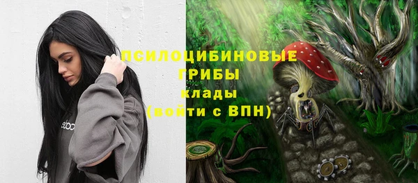 spice Богородск