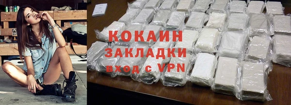 гидра Богородицк