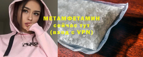 гидра Богородицк
