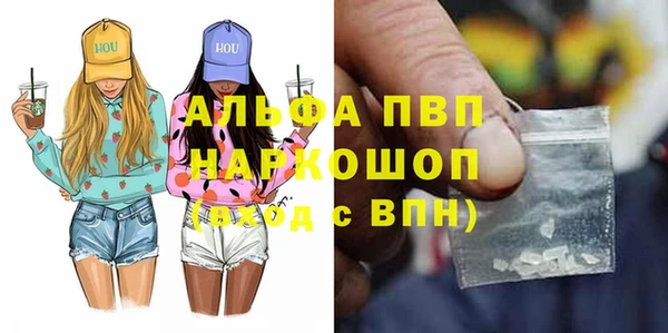 spice Богородск