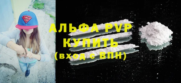 spice Богородск