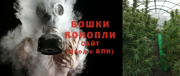 spice Богородск