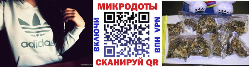 Галлюциногенные грибы прущие грибы  Купить где  Иваново 